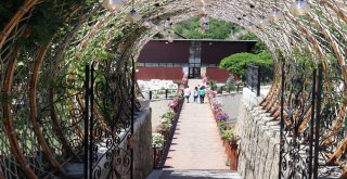 Türkiyenin En Büyük Şemsiyesi Gümüşhanede