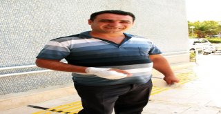 Yalovada 23 Kişi Hastanelik Oldu