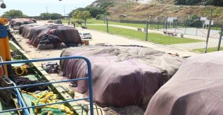 (Özel) Balıkçıların 147 Günlük Yasağında Son Gün