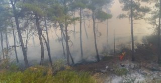 Antalyada Orman Yangını (1)