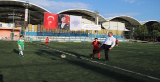 Biganın Kurtuluşu İçin Sahaya Çıktılar