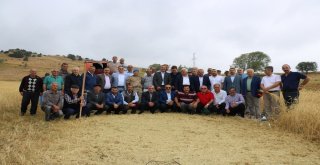 2 Bin Yıllık Ata Tohumu Buğday Verdi