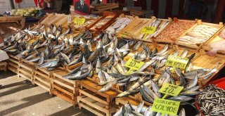 Bandırma Körfezinden Bereket Fışkırdı, Palamutun Tanesi 10 Liraya Düştü