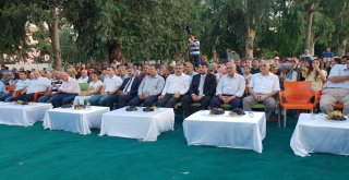 Hassa 2. Üzüm Festivali