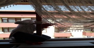 Beypazarında Sosyal Belediyecilik