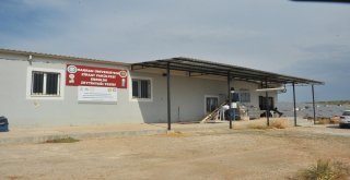 Harran Üniversitesi Bölgenin Zeytinyağı İhtiyacını Karşılıyor