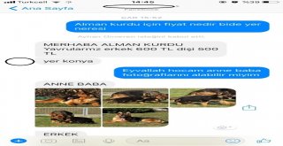 İnternetten Köpek Satın Almak İsterken Dolandırıldı