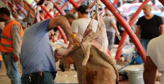 Manisalı Vatandaşlar Kurban İbadetini Yerine Getiriyor