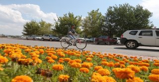 Sivasta Ücretsiz Bisiklet Uygulaması