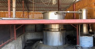 Burdurda Aromatik Bitkilerin Yağı Çıkartılıyor
