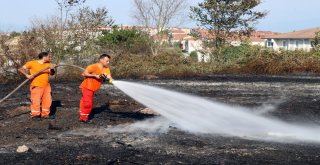 Çalılık Alanda Çıkan Yangın 10 Dönümlük Araziyi Küle Çevirdi