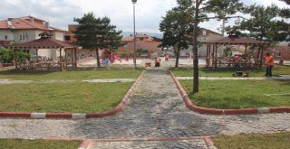 Kavakta Sosyal Alan Sayısı Artıyor