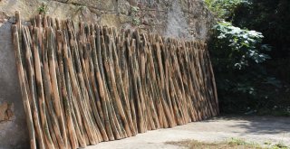 Yılda 80 Bin Adet Üretiyorlar