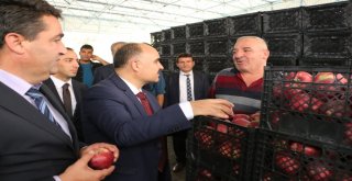 Vali Günaydından Karış Karış Senirkent Gezisi