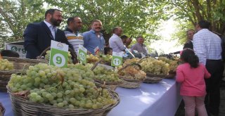 Bakan Pakdemirli, Önlük Giyip Orcik Yaptı