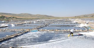 Aktuzlada Günde 120 Ton Tuz Üretiliyor