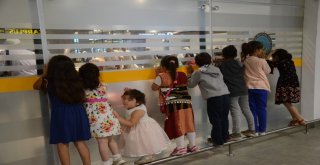 Hacılar, Kutsal Topraklardan Dönmeye Başladı