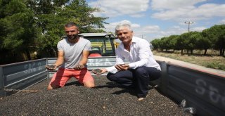 Keşanda İlk Ayçiçeği Satıldı