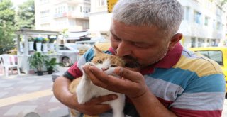 Mırmırı Gören Köpekler Yolunu Değiştiriyor