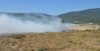 Erdekte Çöplük Yangını