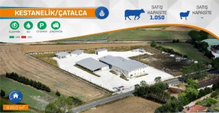 İbb, Kurban Bayramına Hazır