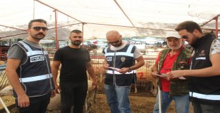 Ayvalıkta Polisten Perşembe Pazarı İle Kurban Pazarında Sıkı Güvenlik Önlemleri