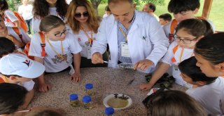Amasyalı Çocuklara Tübitak Destekli Doğa Ve Bilim Eğitimi