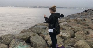 (Özel) Sevimli Yunuslar İstanbul Boğazında Görsel Şölen Sundu