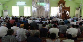 Haliliye Belediyesi Caminin Halılarını Yeniledi
