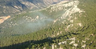 Antalyadaki Orman Yangınını Söndürme Çalışmaları Devam Ediyor