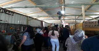 Sanat Evine İlgi Her Geçen Gün Artıyor