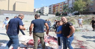 İzinsiz Yerlerde Kurban Kesimi Yapanlara Ceza Yağdı