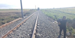 Tren Faciasının Yaşandığı Hatta Yolcu Seferleri Başladı