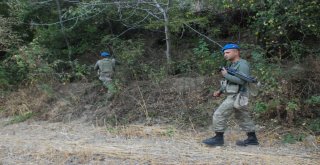 Evrimi Arama Çalışmaları Bayramda Da Devam Etti