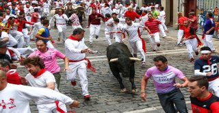 Boğa Katliamı Devam Ediyor