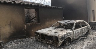 Portekiz Orman Yangınlarıyla Mücadele Ediyor