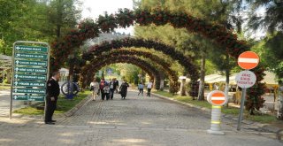 Çerçioğlu: “Vatandaşımız İstedi, Biz De Yapacağız”