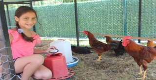 Şampiyonun Ödülü Pahalıya Patladı