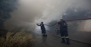 Yunanistandaki Yangın Felaketinde Ölü Sayısı Artıyor
