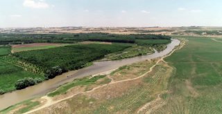 Prof. Dr. Ahmet Kılıç: “Dicle Vadisi Projesi Yeniden Ele Alınmalı”