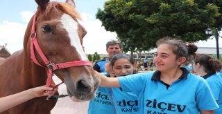 (Özel) Polislerden Engelli Çocuklara Atlı Terapi