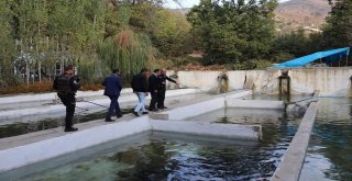 Şemdinli Kaymakamı Nehri Köyününse İncelemelerde Bulundu