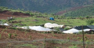 Dağlar Artık Çok Huzurlu