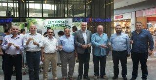 İstanbulda Aydın Zeytinyağına Yoğun İlgi