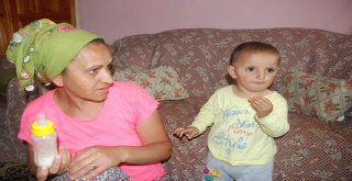 Evrimi En Son Gören 1,5 Yaşındaki Kardeşi Sati, Yengesine Emanet