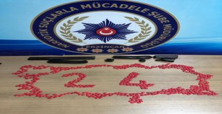 Erzincanda Afyon Sakızı Ve Uyuşturucu Hap Ele Geçirildi