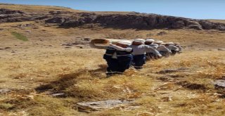 Kesintisiz Elektrik İçin Direkleri Bin 618 Metreye Taşıdılar