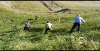 Doğu Anadoluda Asırlık Tırpan Geleneği Yaşatılmaya Devam Ediliyor