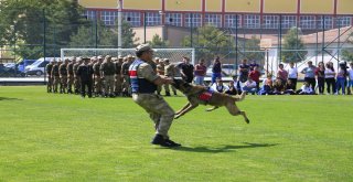 Jakem Komutanlığına Bağlı Köpeklerin Gösterileri Nefesleri Kesti