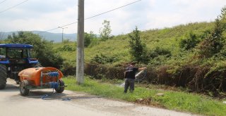 Sapanca Belediyesi İlaçlamaları Aksatmıyor